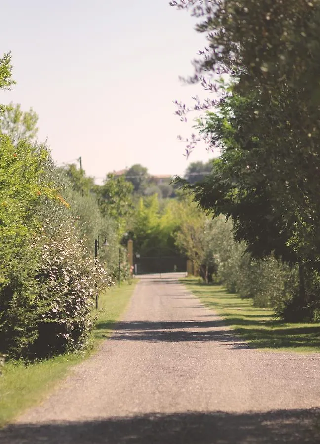 Vakantieboerderij Pian Del Pigro Villa Rimini