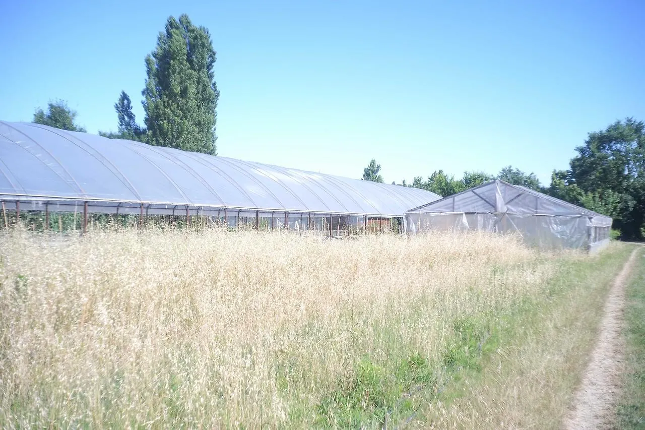 Vakantieboerderij Pian Del Pigro Villa Rimini Italië