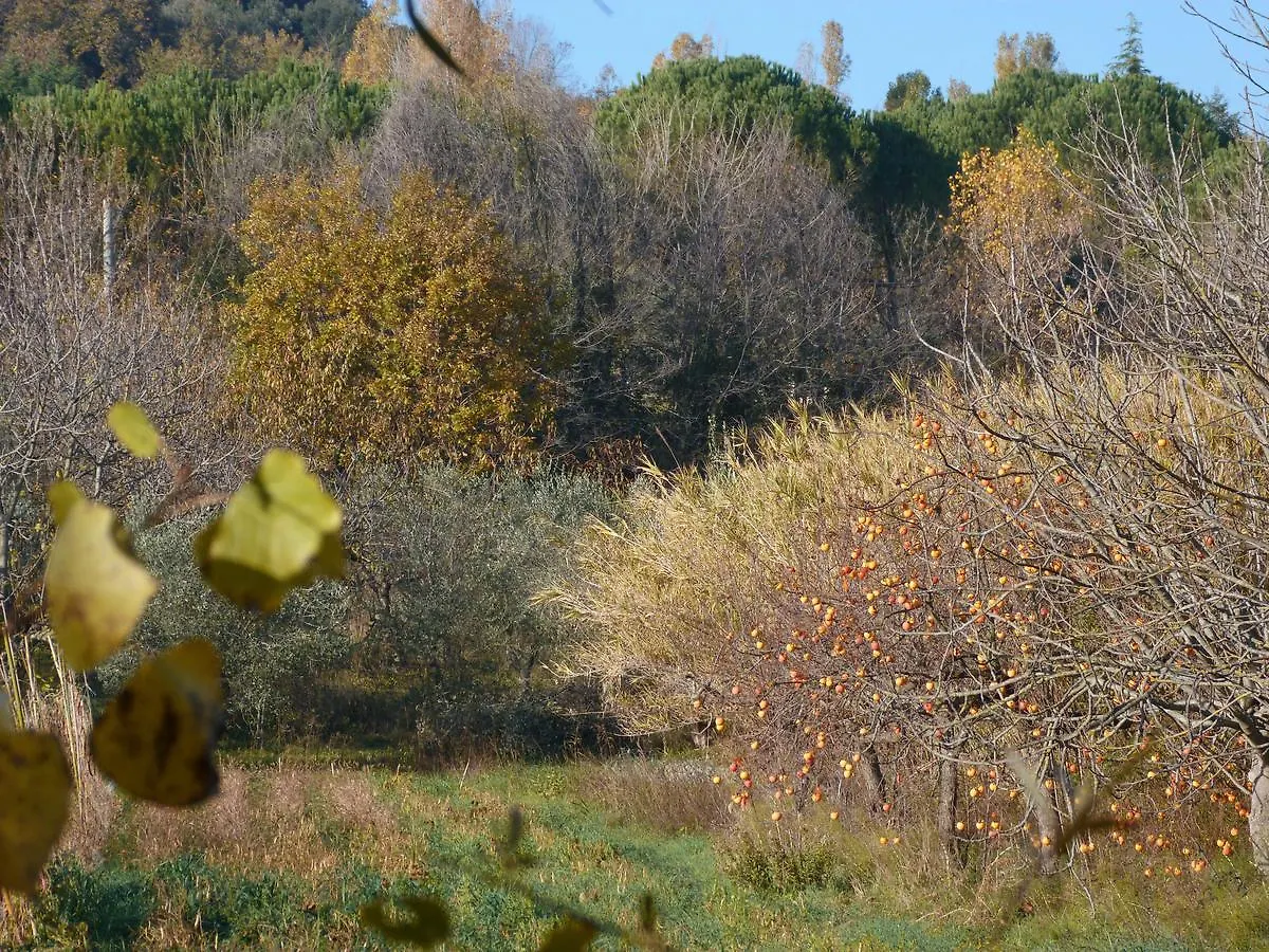 Pian Del Pigro Villa Rimini